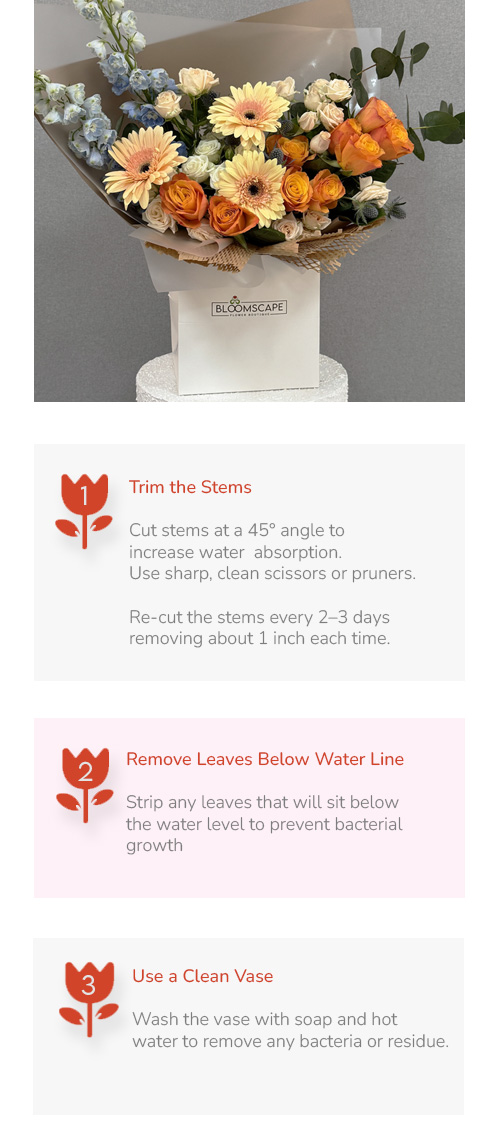 Bloomscape flower care guide