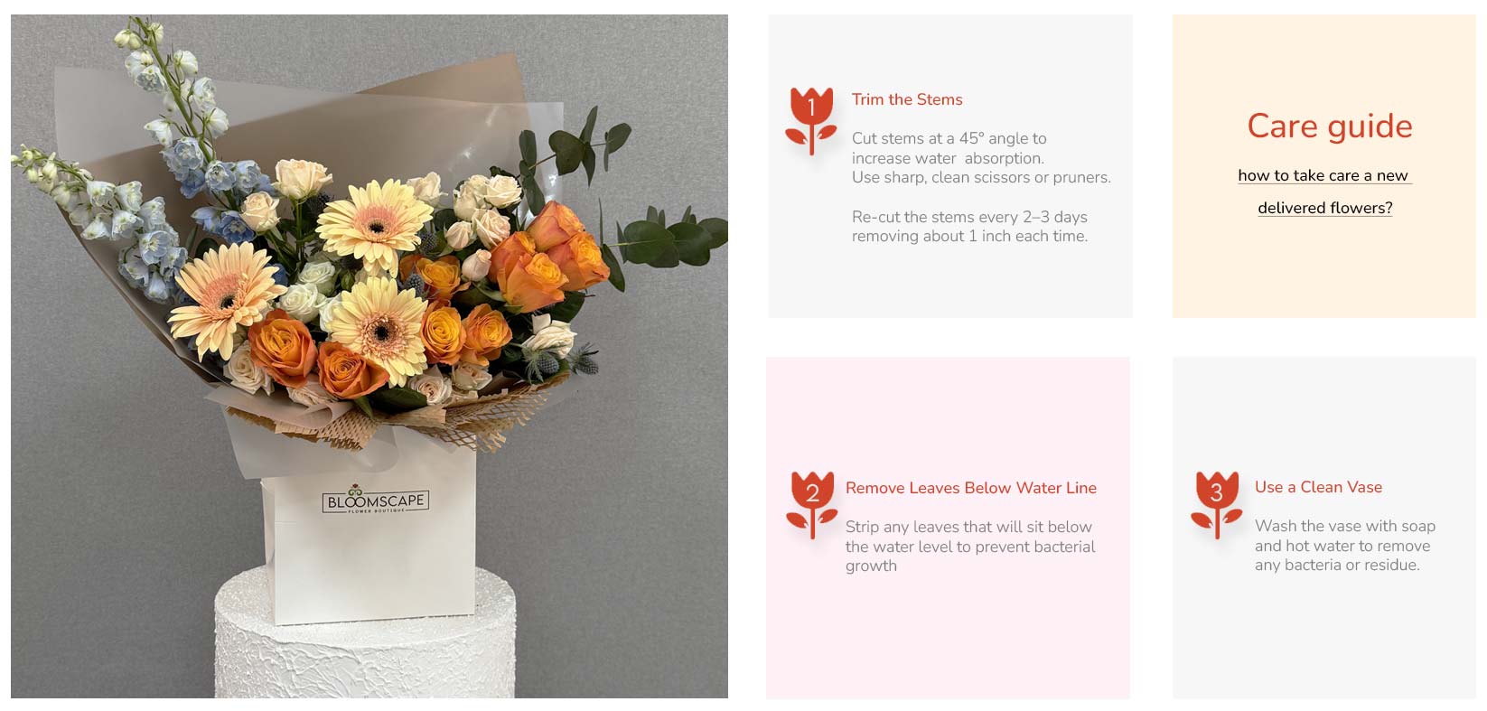 Bloomscape flower care guide